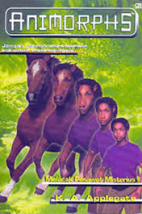 Image of Animorphs - Melacak Pesawat Misterius
