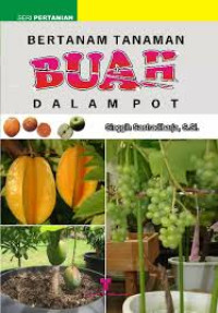 Image of Bertanam Tanaman Buah Dalam Pot